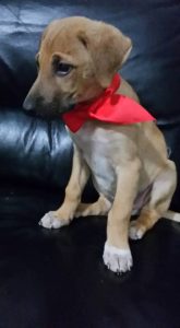 Ada Natali Mici felici & co
