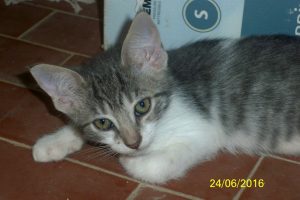 minu' a