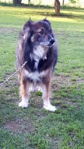 rudy1