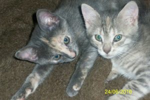 stellina e mia a