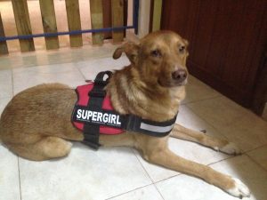 img-20160928-wa0007