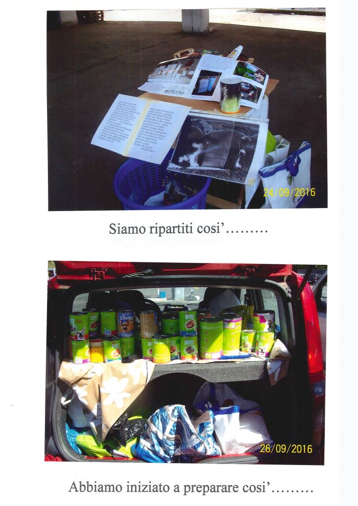 MiciFelici&co