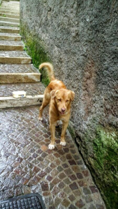 gerri2