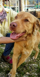 gerry6
